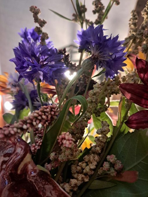 A close-up of a vibrant floral arrangement featuring purple cornflowers, textured pink and beige filler flowers, and dark burgundy blooms.