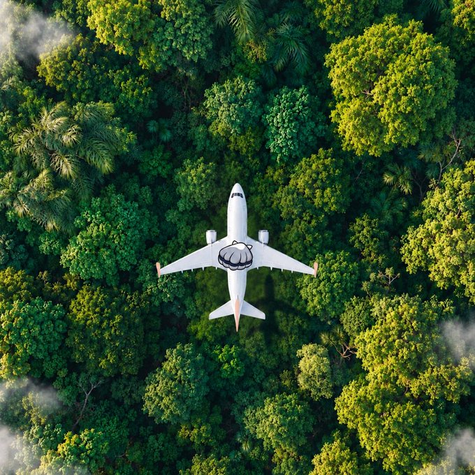 An aerial top-down view of a white commercial airplane flying over a dense, lush green tropical forest canopy.