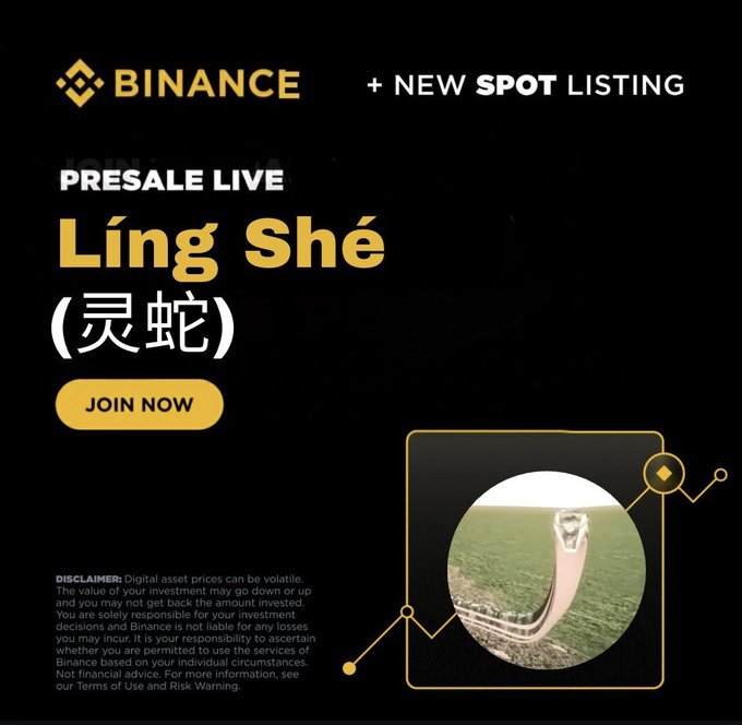 The image is a Binance promotional banner announcing a presale and new spot listing for "Líng Shé" (灵蛇), featuring a "JOIN NOW" button alongside a photo of a cobra. It complements the post's call-to-action, which asks users to send +0.5 BNB to receive 100% $LINGSHE rewards before the presale closes in 14 hours.