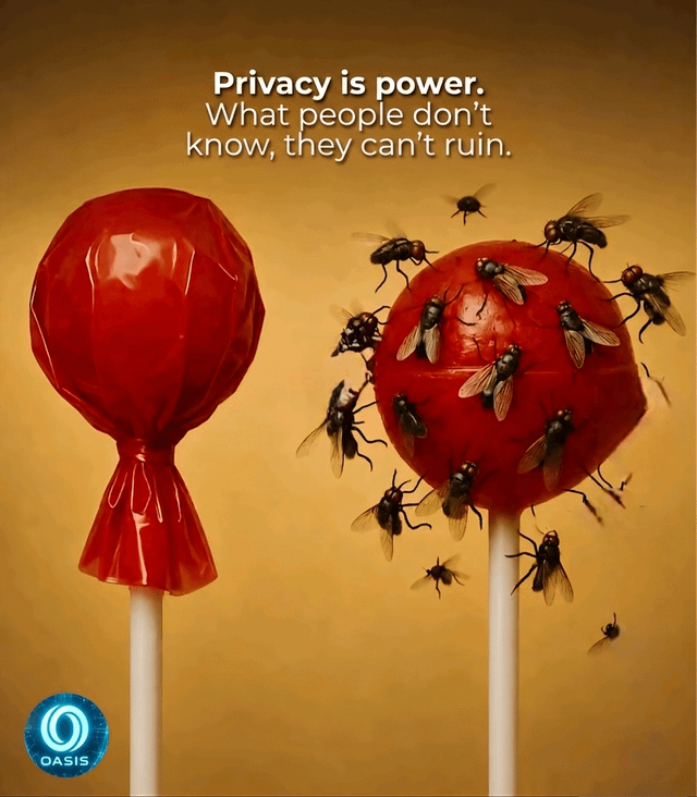 The image features two lollipops, one red with a plastic wrapper and another red without a wrapper. The lollipop with the wrapper has flies on it, while the other lollipop remains untouched. The caption above the image reads "Privacy is power. What people don't know, they can't ruin".