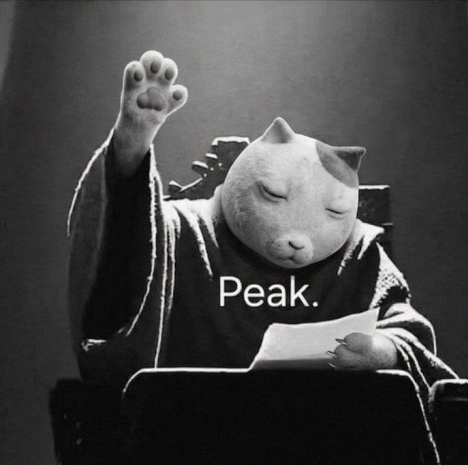 A black-and-white image of a stern cat-headed figure dressed in robes, raising a paw while speaking from a podium with the caption "Peak." The image humorously reinforces the post's sentiment about holding onto (not selling) their ket, portraying the conviction as a wise, enlightened declaration rather than a stubborn mistake.