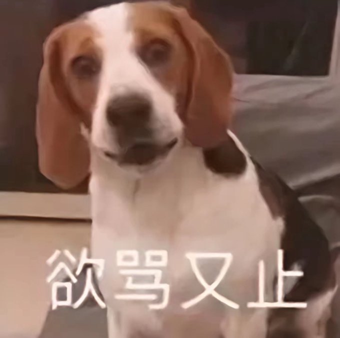A beagle dog meme with Chinese text "欲骂又止" (wanting to scold but holding back) overlaid at the bottom.