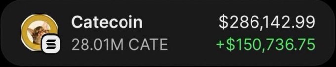 A dark-themed crypto wallet screenshot displays the Catecoin ($CATE) token, showing a balance of 28.01M CATE valued at $286,142.99, with a notable gain of +$150,736.75 in green text. The image visually supports the post's claim of a life-changing return, illustrating the kind of massive profit that allowed a trader to retire from a small initial investment.