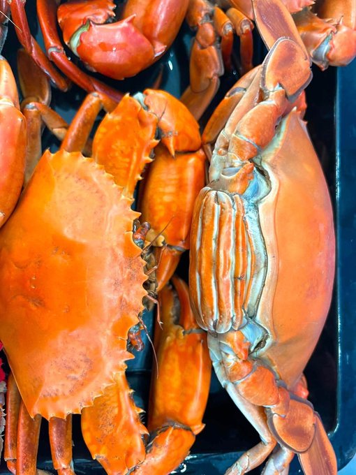 A close-up overhead view of multiple cooked orange crabs piled together in a dark tray, showing their textured shells and claws in detail.