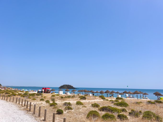 The image shows a beach scene with numerous umbrellas set up along the shoreline, providing shade for beachgoers. The beach appears to be quite busy, as there are at least 15 people visible in the picture. Some of these individuals can be seen near the water's edge or under the umbrellas, enjoying their time by the sea. In addition to the umbrellas and people, a truck is parked nearby, possibly belonging to one of the beachgoers. The overall atmosphere suggests that it might be a sunny day at the beach, with everyone taking advantage of the pleasant weather and beautiful surroundings.