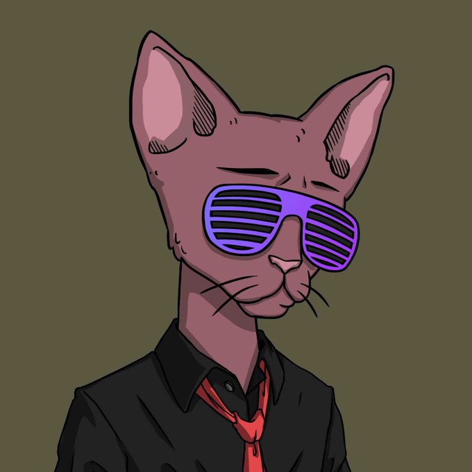 An anthropomorphic hairless cat wearing purple shutter shades and a black shirt with a red tie, giving off a cool, stylish vibe fitting for a weekly giveaway post announcing prize spins and subscriber rewards.