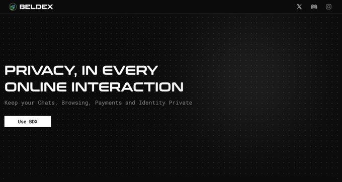 A screenshot of the Beldex website homepage featuring the tagline "Privacy, in every online interaction" and a "Use BDX" button, visually reinforcing the post's message about Beldex ($BDX) embedding privacy directly into its protocol through features like ring signatures on every transaction.