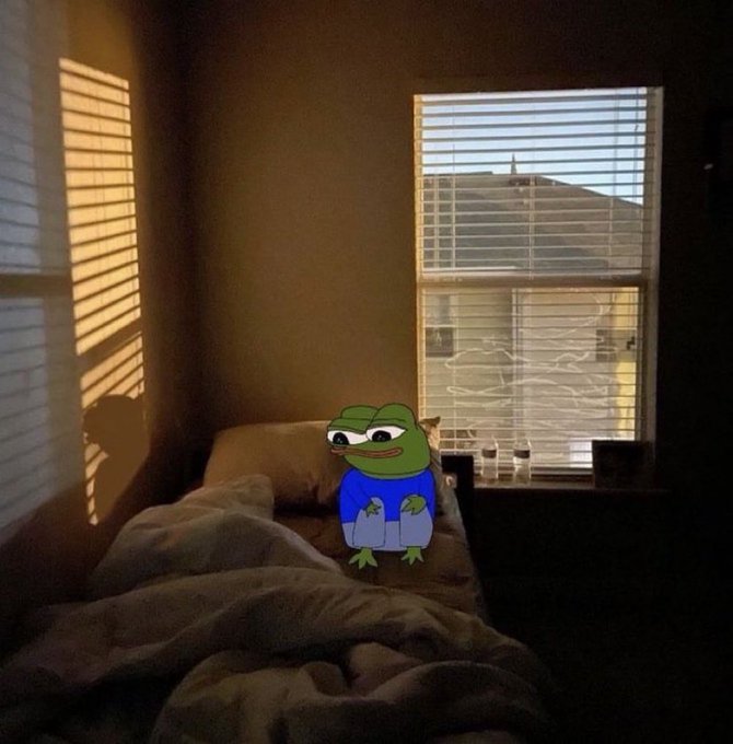 A dimly lit bedroom scene with sunlight streaming through blinds, featuring a Pepe the Frog character edited onto a cat sitting on an unmade bed.