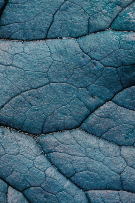 A close-up texture shot of a blue-tinted surface resembling cracked ice or weathered stone with a network of intersecting fissures.