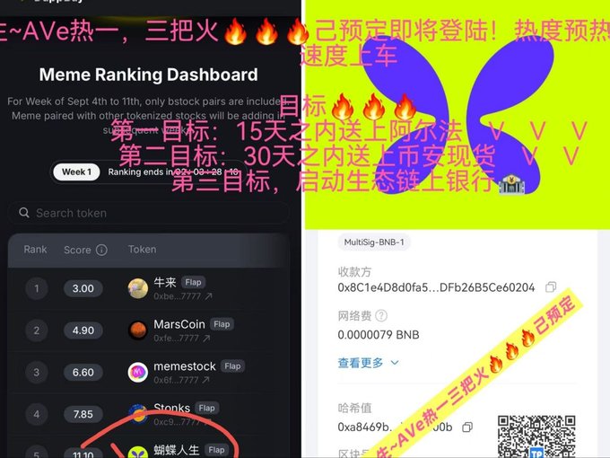 A split-screen image with a 'Meme Ranking Dashboard' listing tokens like 牛来, MarsCoin, and memestock on the left, and Chinese promotional text about token pre-sales and goals on the right, alongside wallet details and a QR code.