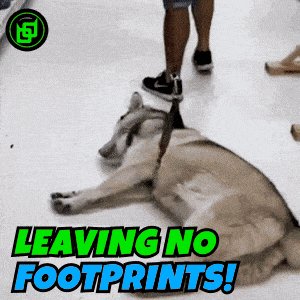 None