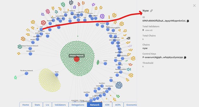 The image shows the Polkadot Network visualization with "Nyse" highlighted in the top right corner, displaying its ID "KPrEcRKMDflkZbaK_3yyqiMKg3pmKnCoL," 8 total validators, and control keys beginning with "P-avaxrum7g6sgsh..."—visually demonstrating how the NYSE node is openly connected and testing within the public Polkadot ecosystem.