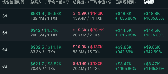 "Developer" is written at the top of the screen, above the table with Chinese characters. The table displays financial information about transactions in a spreadsheet.