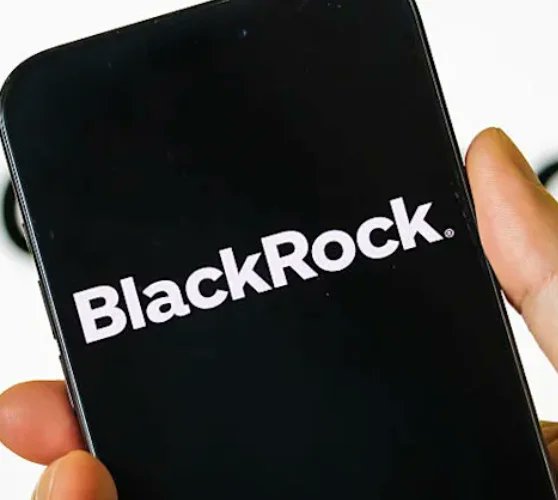 A hand holds a smartphone displaying the BlackRock logo on a black background.