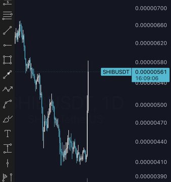 The image displays a 1-day (1D) candlestick chart of SHIB/USDT on Binance, with the current price at 0.00000561 as of 16:09:06, showing a strong downtrend from around 0.00000700 to recent lows near 0.00000410. The caption relates to the $DOGE warning by visually echoing a similar sharp decline pattern in SHIB, suggesting memecoins like DOGE may follow the same bearish trajectory.