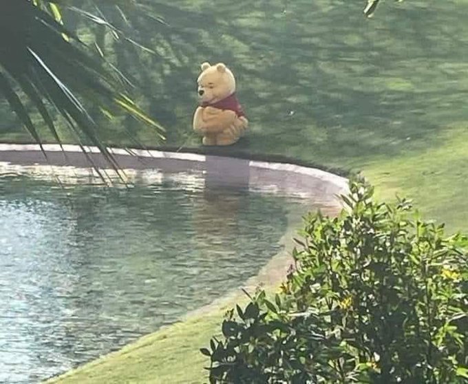 A Winnie the Pooh statue wearing a red shirt sits at the edge of a small pond or water feature, partially surrounded by greenery and palm fronds.