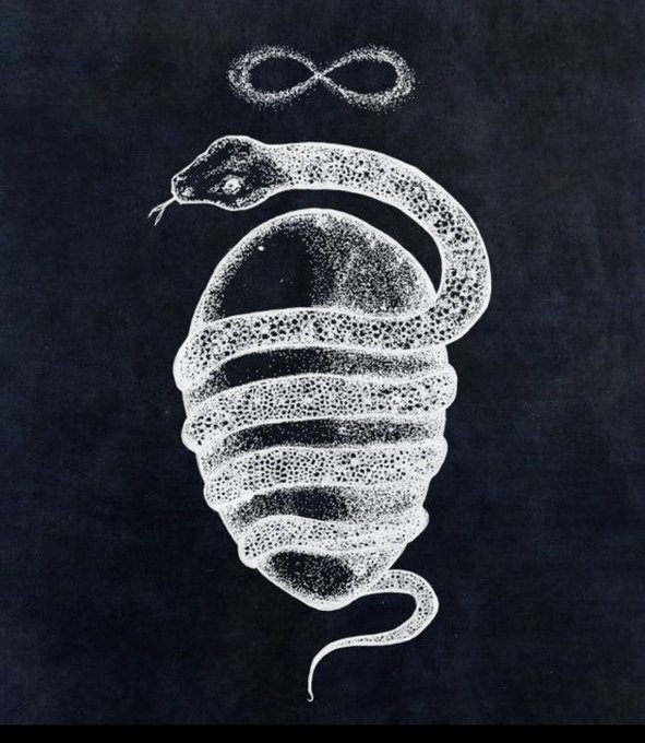 A white chalk drawing on a black background depicts a snake coiled around itself to form an egg shape, with an infinity symbol drawn above its head.
