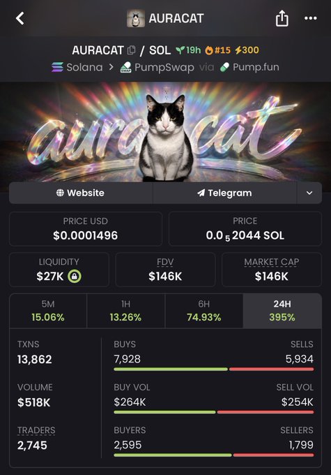 The image shows a crypto trading page for the token AURACAT (ticker: AURACAT/SOL), launched on Pump.fun via PumpSwap, featuring a black and white cat illustration. It displays a price of $0.0001496 (0.0002044 SOL), with a market cap of $146K, and notable gains of 395% in 24 hours and 74.93% over 6 hours, supporting the post's claim about a successful paid boost for the token.