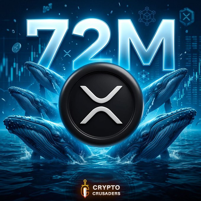 A dramatic XRP-themed graphic shows several blue whales surrounding a large black XRP token emblem, with “72M” prominently displayed to highlight the reported whale accumulation. It includes the “CRYPTO CRUSADERS” logo and matches the post claiming whales accumulated 72M XRP tokens in 24 hours.