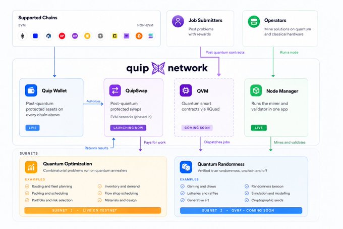 An infographic titled 'quip network' illustrating a blockchain architecture with components like Quip Wallet, QuipSwap, QVM, and Node Manager, supporting EVM and NON-EVM chains, along with subnets for Quantum Optimization and Quantum Randomness.