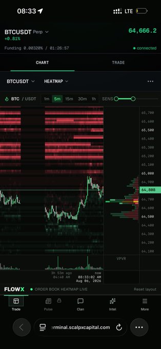 A mobile screenshot of the BTCUSDT Perpetual futures trading chart on FlowX showing a current price of 64,666.2 with a 5-minute candlestick chart displaying a heatmap of order book liquidity that confirms the post's observation of "fat liquidity above" the current price, with significant buy/sell walls visible between 64,800 and 65,700.