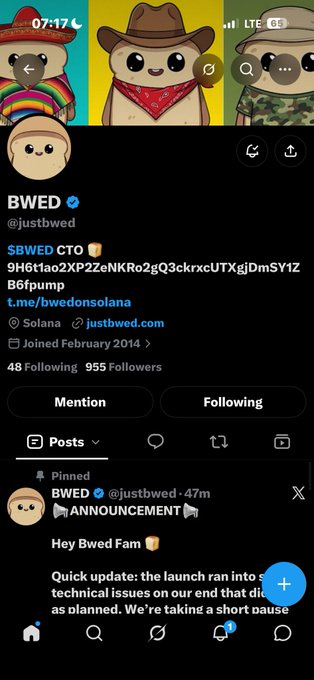 A screenshot of the Twitter/X profile for @justbwed showing their BWED logo with bear mascots, a pinned announcement about launch technical issues from Solana, and a follower count of 955.