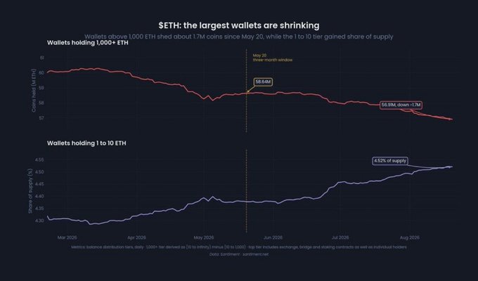 The image shows two line charts titled "Wallets holding 1,000+ ETH" and "Wallets holding 1 to 10 ETH," tracking $ETH balances from March to August 2026, illustrating that larger wallets declined from 59.64M to 56.8M (-1.7M) since the May 20 three-month window while smaller wallets grew to 4.52% of supply, visually supporting the post's claim about redistribution toward staking and smart contracts.