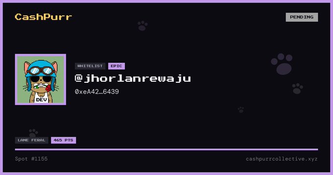 A digital profile card on a purple-bordered 'CashPurr' interface showing the username '@jhorlanrewaju' with a cartoon cat avatar labeled 'DEV'.