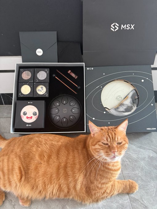 An orange tabby cat lying on a tiled floor in front of MSX-branded boxes and a set containing a moon-shaped object, chocolates, and accessories.