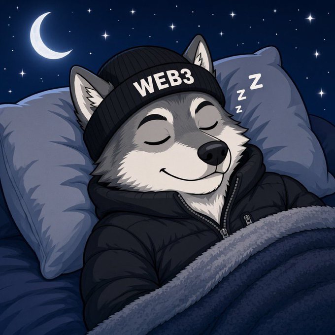 A cartoon illustration of a husky sleeping peacefully under a blanket while wearing a black beanie labeled 'WEB3' and a dark jacket, with 'Zzz' floating nearby under a starry night sky with a crescent moon.