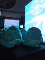 Two teal-colored plush toys or small bags rest on a dark surface in a dimly lit room.