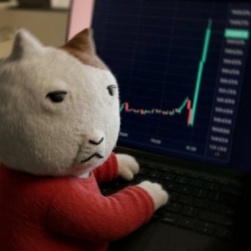 A plush cat doll in a red sweater sits in front of a laptop displaying a candlestick chart with a sharp green price spike, whimsically portraying a trader celebrating a $KET dip purchase with unwavering conviction ahead of the bull run.