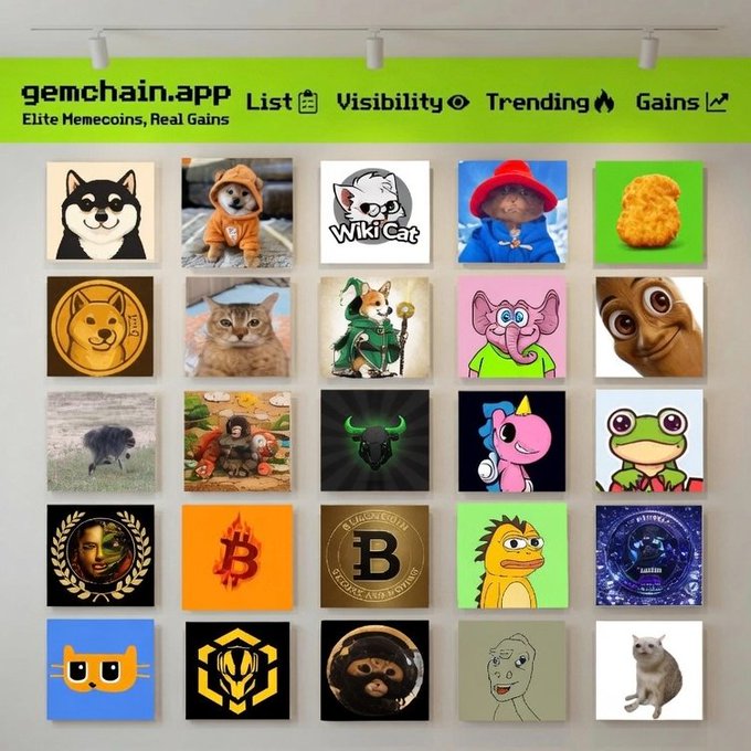 A web design mockup for 'gemchain.app' with the tagline 'Elite Memecoins, Real Gains,' featuring a grid of various meme coin logos including Doge, Wiki Cat, Bitcoin, and others.