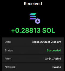 A mobile screenshot shows a successful Solana transaction receipt displaying "+0.28813 SOL Received" from wallet "Gmj4...AgM9" on the Solana network, timestamped Sep 8, 2026. This serves as proof of a $SOL payment sent to fund the purchase of 29M $NUKEBULL tokens during the presale.