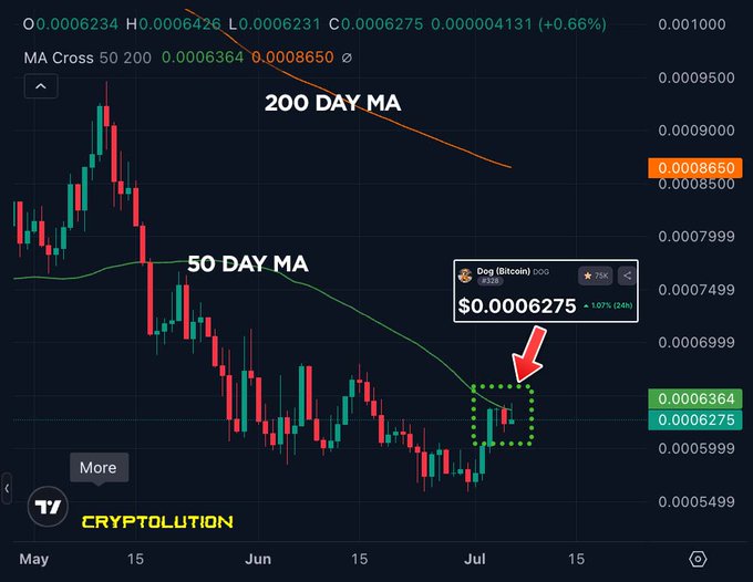 A candlestick chart shows Dog (Bitcoin) ($DOG) trading at $0.0006275 (+107%/24h), with its price revisiting the 50-day moving average (green line at 0.0006364) on the daily timeframe, highlighted by a green dashed box and red arrow, while the 200-day MA (orange line) sits higher at 0.0008650.
