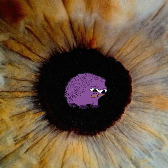 Close-up macro shot of an eye iris with a small purple cartoon creature (resembling a mole or wombat) superimposed over the pupil.