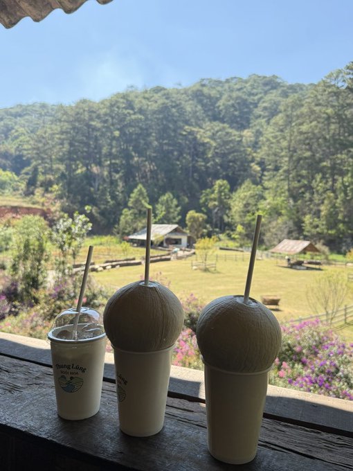 Two fresh coconuts and an iced coffee drink from 'Mountain Lang' placed on a wooden railing overlooking a lush green valley with flowers.
