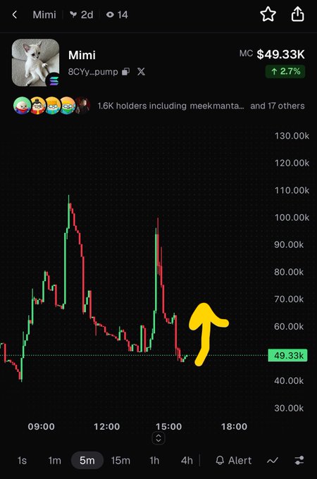 A crypto token page for “Mimi,” ticker “8CYy_pump,” shows a market cap of “$49.33K,” a green “2.7%” change, and a candlestick chart with a large yellow upward arrow.