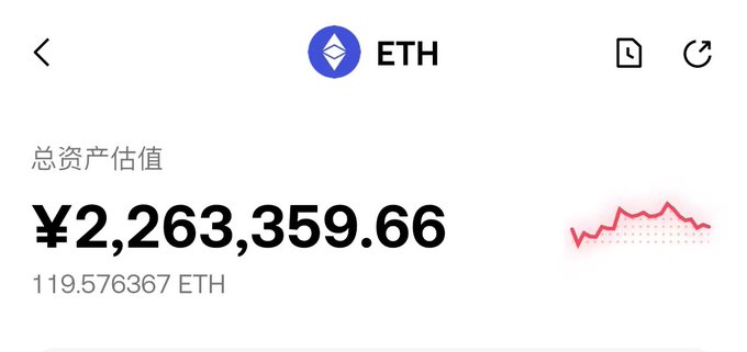 A cryptocurrency portfolio screen showing an ETH wallet with a total asset value of ¥2,263,359.66 (119.576367 ETH) and a small red line graph indicating a price decline.