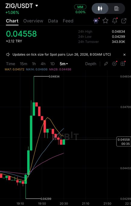 A ZIG/USDT 5-minute candlestick chart on Binance shows the price spiking from around $0.043 to a 24h high of $0.04834 before consolidating near $0.04558 (+1.06%), with moving averages (MA7: 0.04572, MA14: 0.04606, MA28: 0.04498) supporting the post's claim of a sudden whale-driven surge and subsequent healthy consolidation above key MAs.