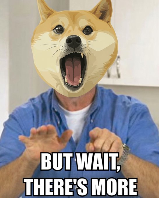 A man wearing a Shiba Inu (Doge) mask gestures excitedly with the caption "BUT WAIT, THERE'S MORE" in bold text, used to tease additional Dogecoin-related announcements and upcoming merch store launches referenced in the post.