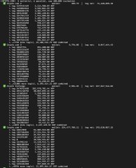 A dark terminal/command line screen displaying rows of system information output including statistics about GPU, memory, and processor resources.