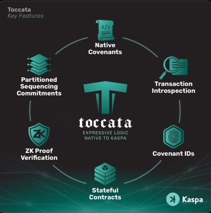 An infographic titled "Toccata Key Features" showcases Toccata as "Expressive Logic Native to Kaspa," highlighting six key capabilities arranged in a circle: Native Covenants, Transaction Introspection, Covenant IDs, Stateful Contracts, ZK Proof Verification, and Partitioned Sequencing Commitments, with the Kaspa logo in the bottom right. The image visually summarizes the Toccata upgrade mentioned in the post, illustrating the programmability and DeFi/NFT/dApp features being added to Kaspa's Layer 1 blockchain.