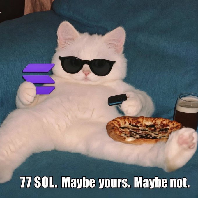 A white cat lounges on a blue couch wearing sunglasses, holding a remote with a Solana logo, a pizza, and a drink, captioned '77 SOL. Maybe yours. Maybe not.'