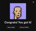 A notification from a digital collectible platform displaying a pixelated character face with the text 'Congrats! You got it!' and options to 'View in Profile' or 'Class: Vestige'.