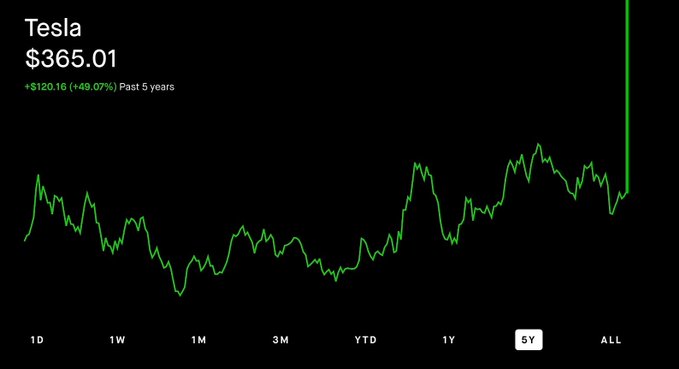 A 5-year Tesla (TSLA) stock chart showing a current price of $365.01 with a +$120.16 (+49.07%) gain, ending in a dramatic vertical spike that visually illustrates the post's question about Elon Musk burning the shorts.