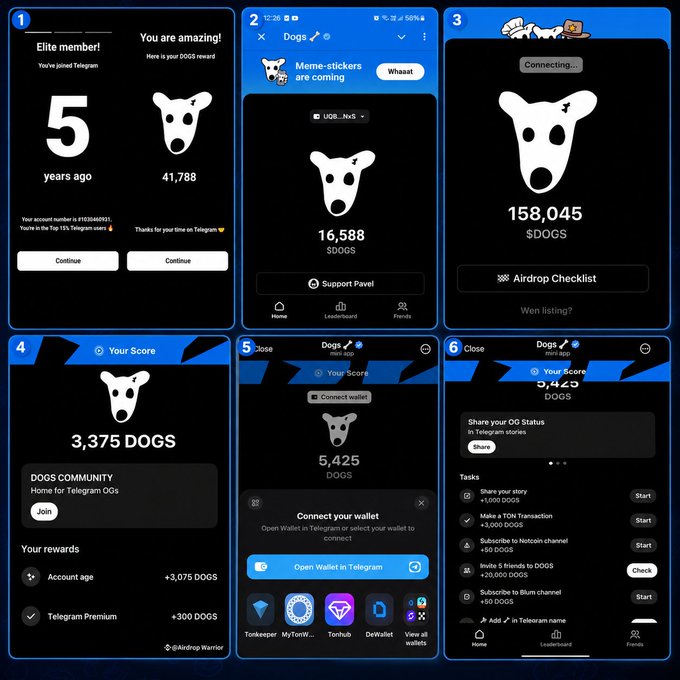 The image displays a six-step guide for the DOGS Telegram airdrop, showing screens for verifying account age (5 years), checking DOGS balance (158,045 tokens), viewing score (3,375 DOGS), and completing tasks like sharing stories, making TON transactions, and subscribing to channels to earn rewards. It relates to the post by illustrating the missed opportunity—the interface shows how users could have accumulated significant DOGS allocations (like 158,045 tokens) through early farming, which the author reflects could have been worth tens of thousands if multiple accounts had been managed.