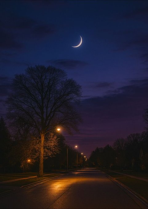 A serene nighttime photograph of a crescent moon above a large silhouetted tree on a suburban street, with glowing street lamps lining the road under a deep purple and blue sky.