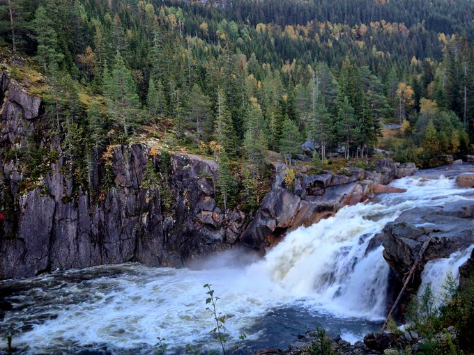 A scenic view of a cascading waterfall flowing through a rocky gorge surrounded by dense evergreen forest, possibly during early autumn.