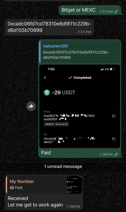 A Telegram chat screenshot showing a completed transaction of -29 USDT sent from one crypto wallet address to another, with a message from "nekanem90" asking "Bitget or MEXC".